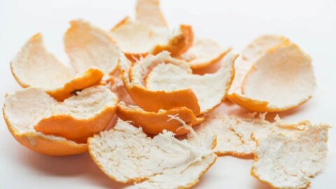 Málokoho by napadlo, že pomerančová kůra nemusí končit v koši. Odteď už to nikdy neuděláte