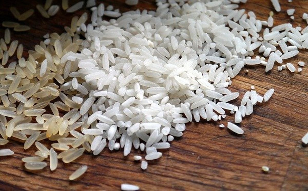 semínka rýže