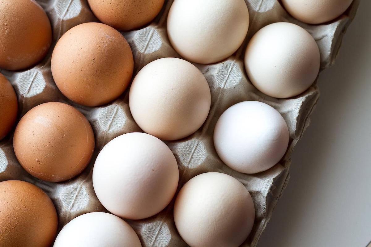 plato klasických a bílých vajec