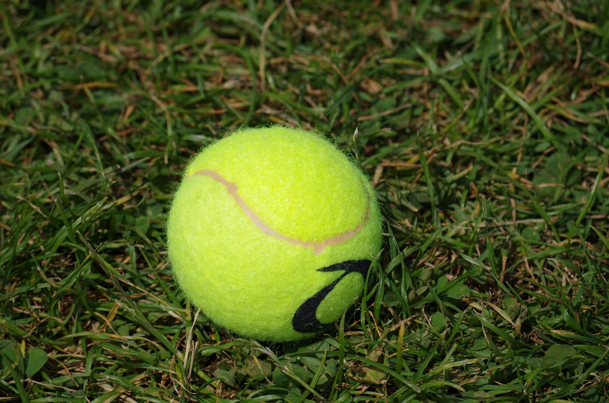 tenisový míček v trávě