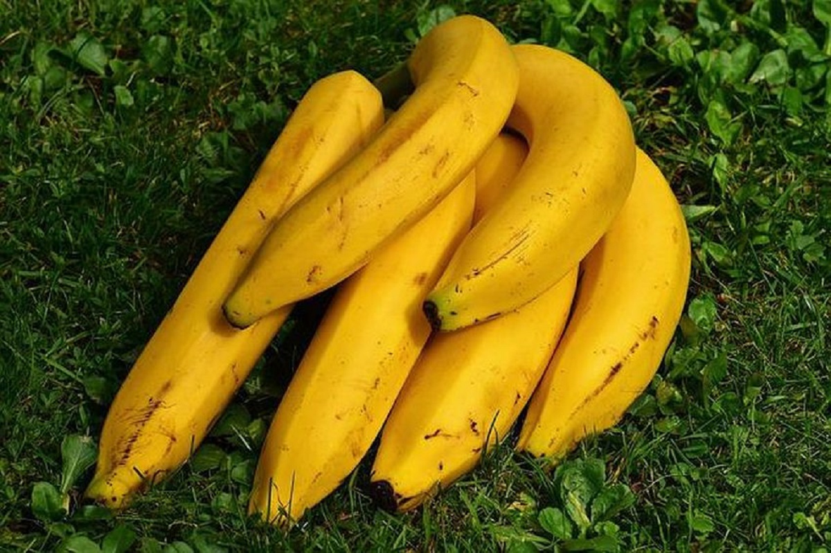 zralé žluté banány