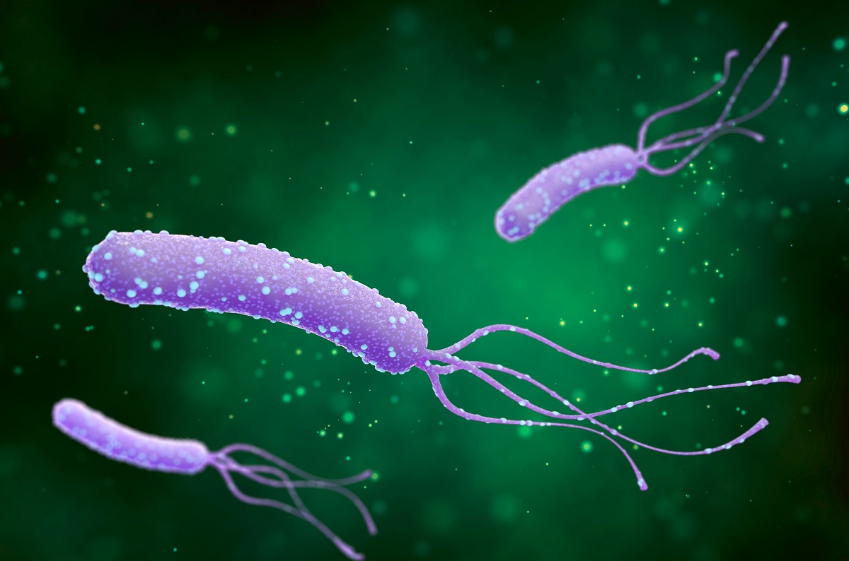 helicobacter bakterie