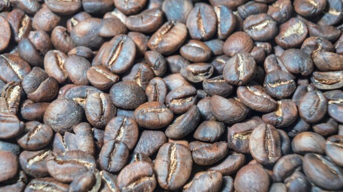 kava-arabica